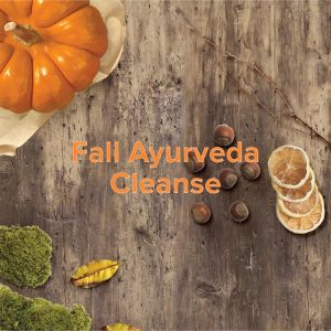Product Image Fall Ayurveda Cleanse with Sage & Fettle Ayurveda and Angelina Fox, ERYT500, YACEP, Ayurveda Health Counselor and Yoga Teacher